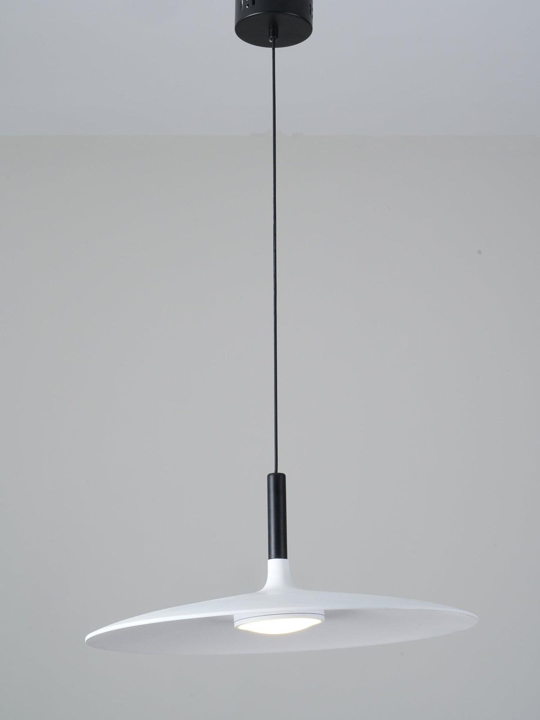 Aplomb Metal Pendant Lamp - Vakkerlight