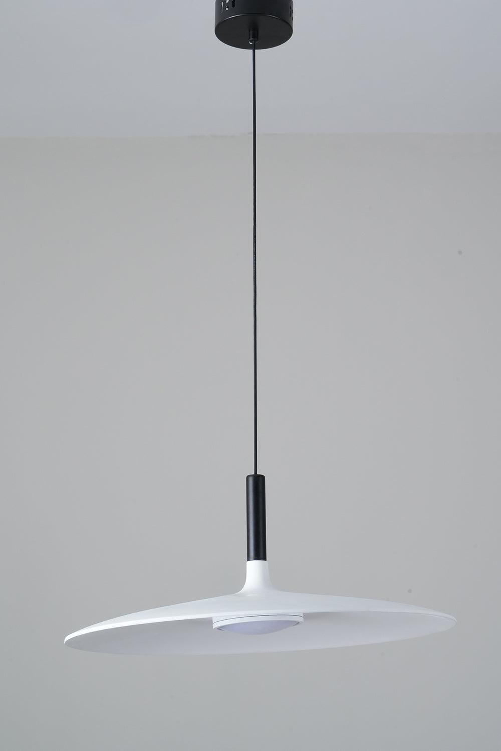 Aplomb Metal Pendant Lamp - Vakkerlight