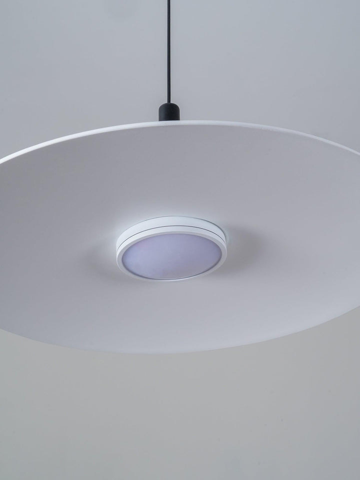 Aplomb Metal Pendant Lamp - Vakkerlight