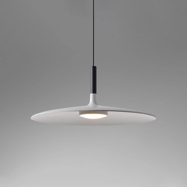 Aplomb Metal Pendant Lamp - Vakkerlight