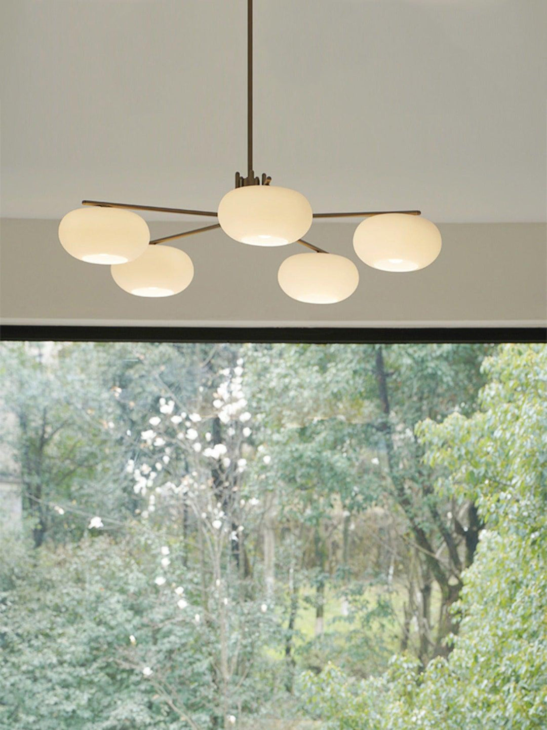 Barndon Chandelier - Vakkerlight