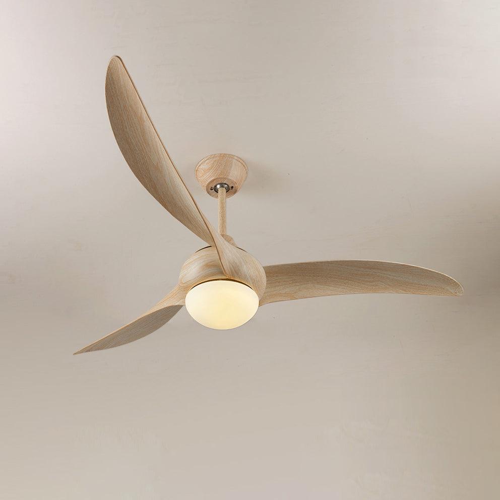 Traditional Ceiling Fan Light - Vakkerlight