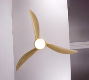 Lumière de ventilateur de plafond traditionnelle