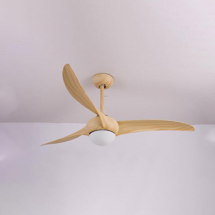 Traditional Ceiling Fan Light - Vakkerlight