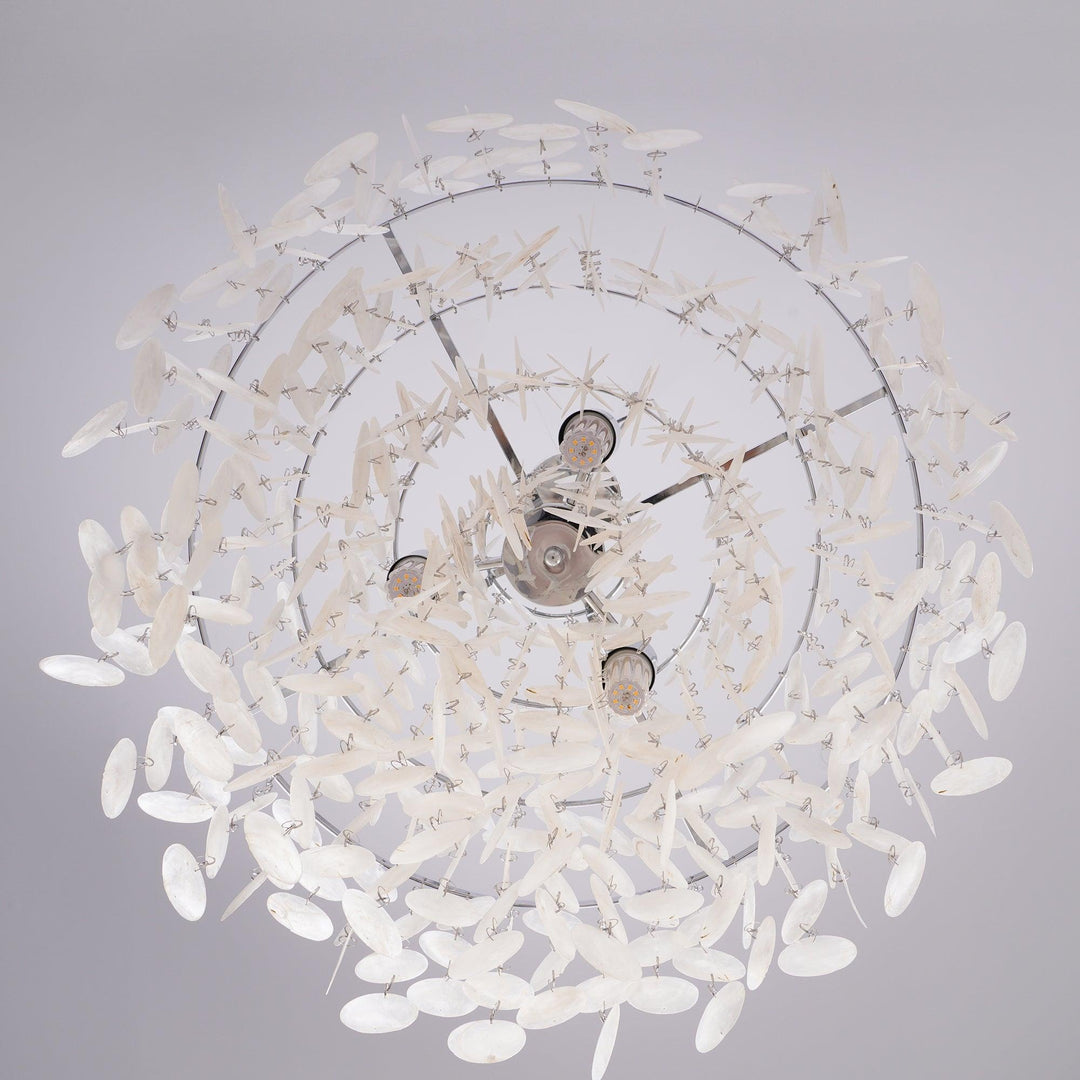 Round Shell Chandelier - Vakkerlight