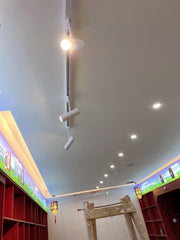 Flatspot Ceiling Light - Vakkerlight