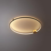 Loop LED Ceiling Light - Vakkerlight