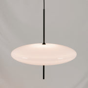 Model 2065 Pendant Lamp