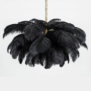 Ostrich Feather Chandeliers - Vakkerlight