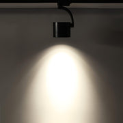 Paloma Ceiling Light - Vakkerlight
