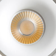 Paloma Ceiling Light - Vakkerlight