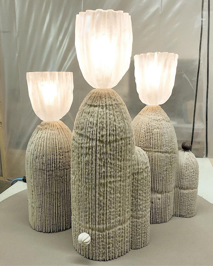 RBS Cactus Lamp - Vakkerlight