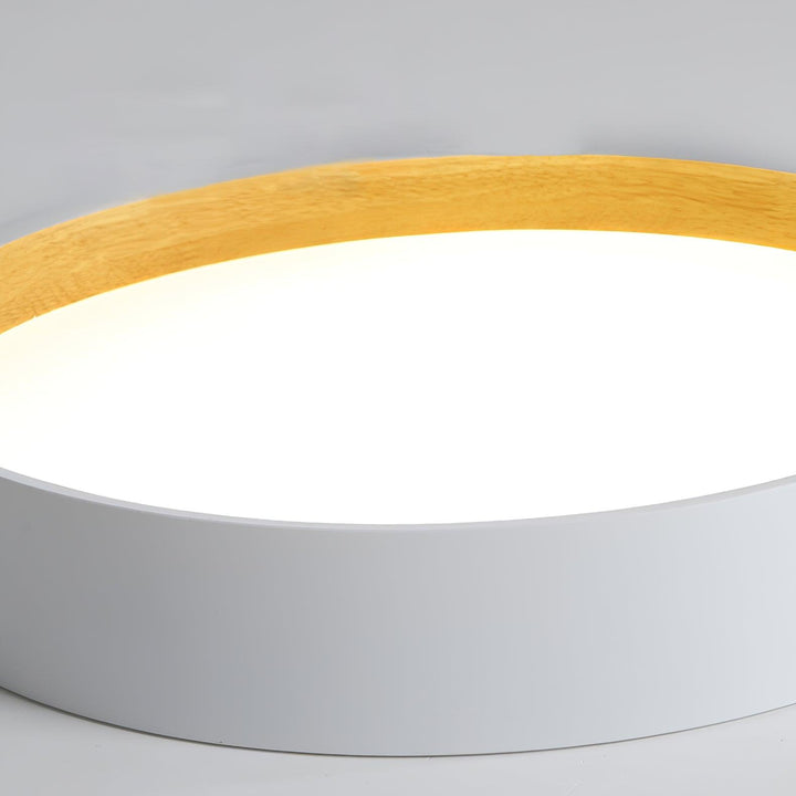 Round Ceiling Lamp - Vakkerlight