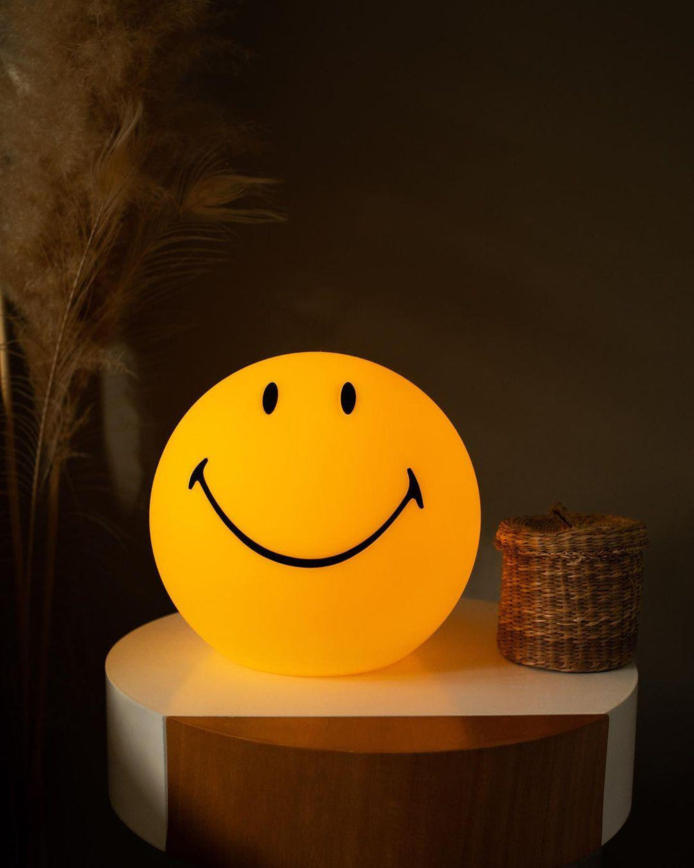 Smiling Rechargeable Built - in Battery Table Lamp - Vakkerlight