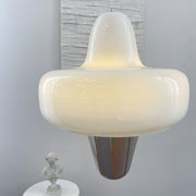 Swan Pendant Lamp - Vakkerlight